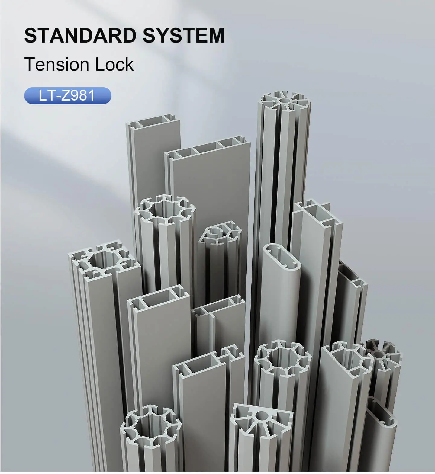 LT-Z981F Tension Lock for Shell Scheme Standard Booth (Zinc Shell+Eccentric Button+Triple Spring Hoo