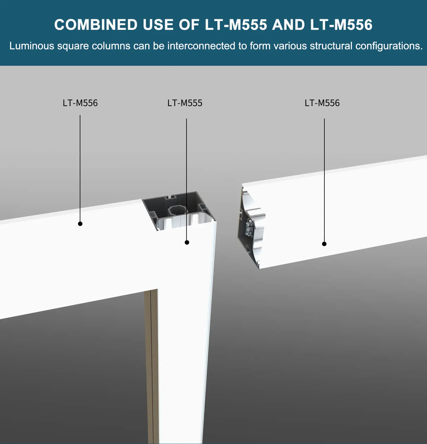 LT-M557