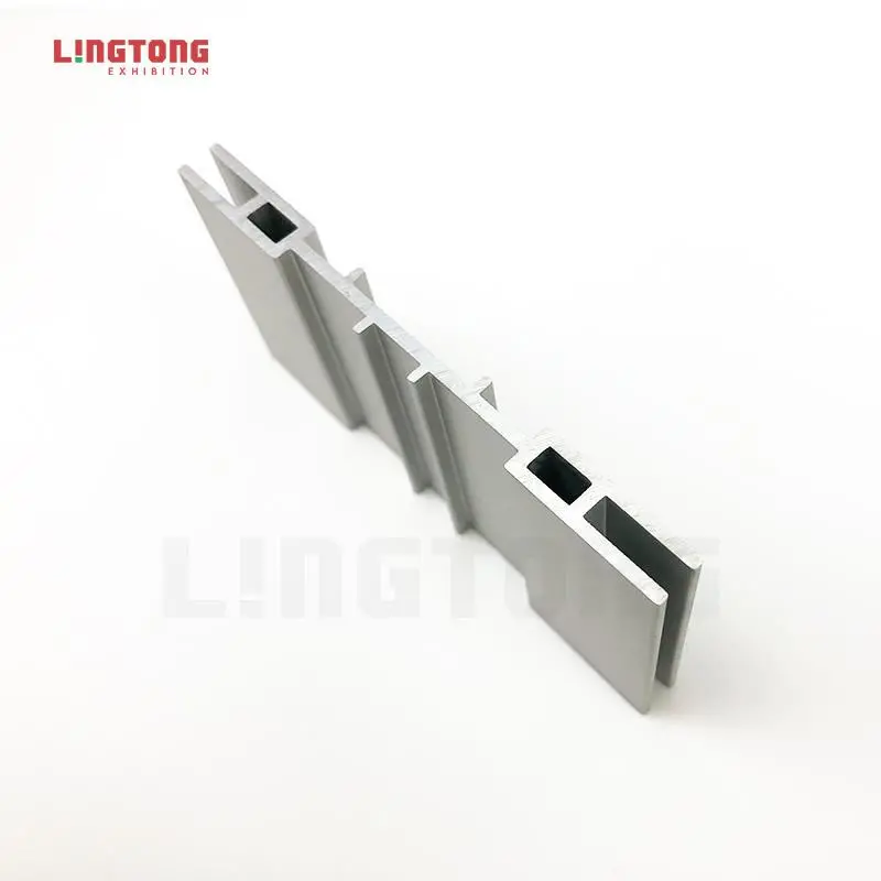 LT-W2559 Fabric Frame Extrusion/100mm for SEG Fabric